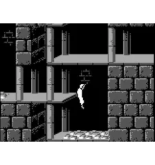 Game Boy Prince Of Persia Loose Fah