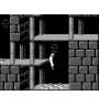 Game Boy Prince Of Persia Loose Fah