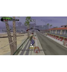Gamecube Tony Hawk’s American Wasteland Cib