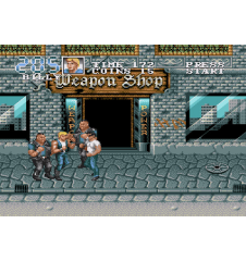 Megadrive Double Dragon 3 Sn