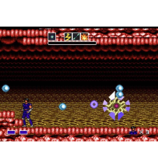 Megadrive Mystic Defender Cib