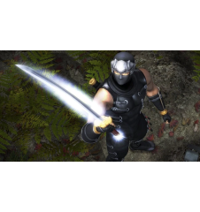 Xbox 1ere Ninja Gaiden Cib