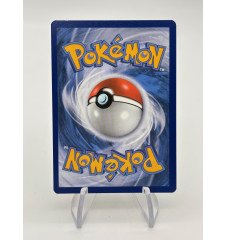Dresseur Soins De l'Eleveur De Pokemon 188/189