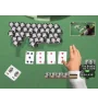 PSP World Series Of Poker Cib