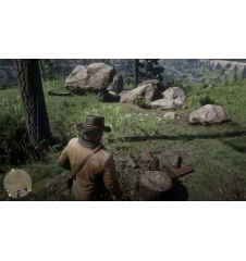 PS4 Red Dead Redemption 2