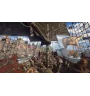 Xbox serie X / One Skull and Bones Neuf