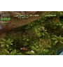 copy of PS1 Tomb Raider II Sn