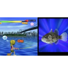 WII Fishing Master Cib
