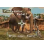 WII Madagascar 2 Cib