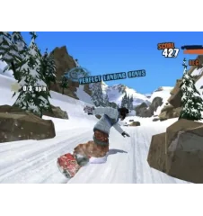 WII Shaun White Snowboarding Road Trip Cib