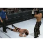 WII Smackdown Vs Raw 2009 Sn