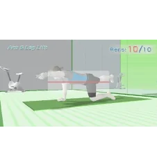 WII Wii Fit Cib