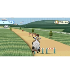 WII Wii Play Cib