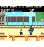 Master System Vigilante Sn