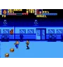 Master System Pit-Fighter Cib