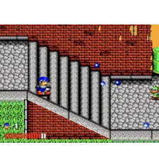 Master System Dynamite Dux Sn