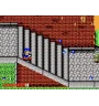 Master System Dynamite Dux Sn