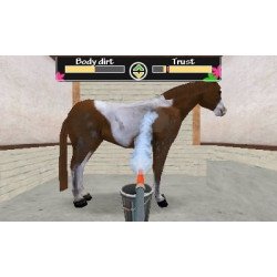 3DS I Love My Horse Cib