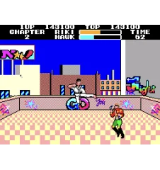 Master System Black Belt Sn