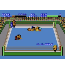 Master System Pro Wrestling Sn