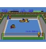 Master System Pro Wrestling Sn