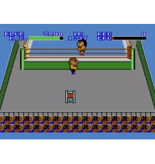 Master System Pro Wrestling Sn