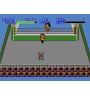 Master System Pro Wrestling Sn