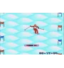 Master System Winter Olympics Sn