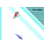 Master System Winter Olympics Sn