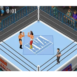 Super Famicom Super Fire Pro wrestling Spécial Loose SHVC-AP4J-JPN