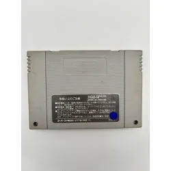 SNES Fatal Fury Spécial Garou Densetsu Special Loose Jap SHVC-3R