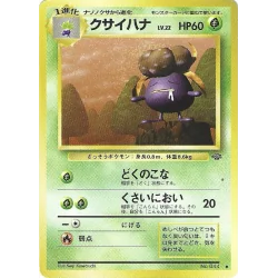 Ortide Jungle n°044 Jap