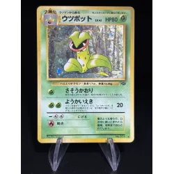 Empiflor Jungle N°071 Holo Jap