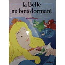 Livre Walt Disney La Belle Au Bois Dormant