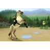 Wii Alexandra Ledermann La Colline Aux Chevaux Sauvages Cib