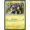 Raikou 048/132 Cosmo Holo MEG Méga-Evolution