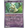 Mimiqui 037/091 Reverse