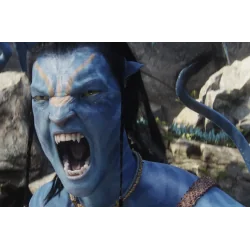 Bluray Avatar
