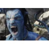 Bluray Avatar