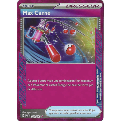 Dresseur Max Canne 116/131 PRE Evolutions Prismatiques