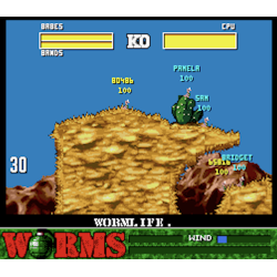 SNES Worms Loose FAH