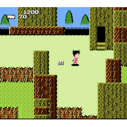 NES Dragon Ball Loose FRA