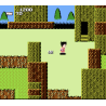 NES Dragon Ball Loose FRA