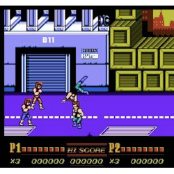 NES Double Dragon II Loose EEC