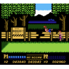 NES Double Dragon II Loose EEC