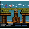 NES Double Dragon III Loose FRA