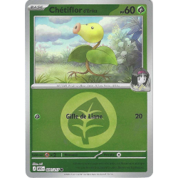 Chétiflor d'Erika 004/217 Reverse Type ASC Héros Transcendants