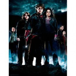 Impression Sur Verre Harry Potter Groupe HP4