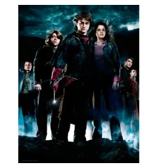 Impression Sur Verre Harry Potter Groupe HP4
