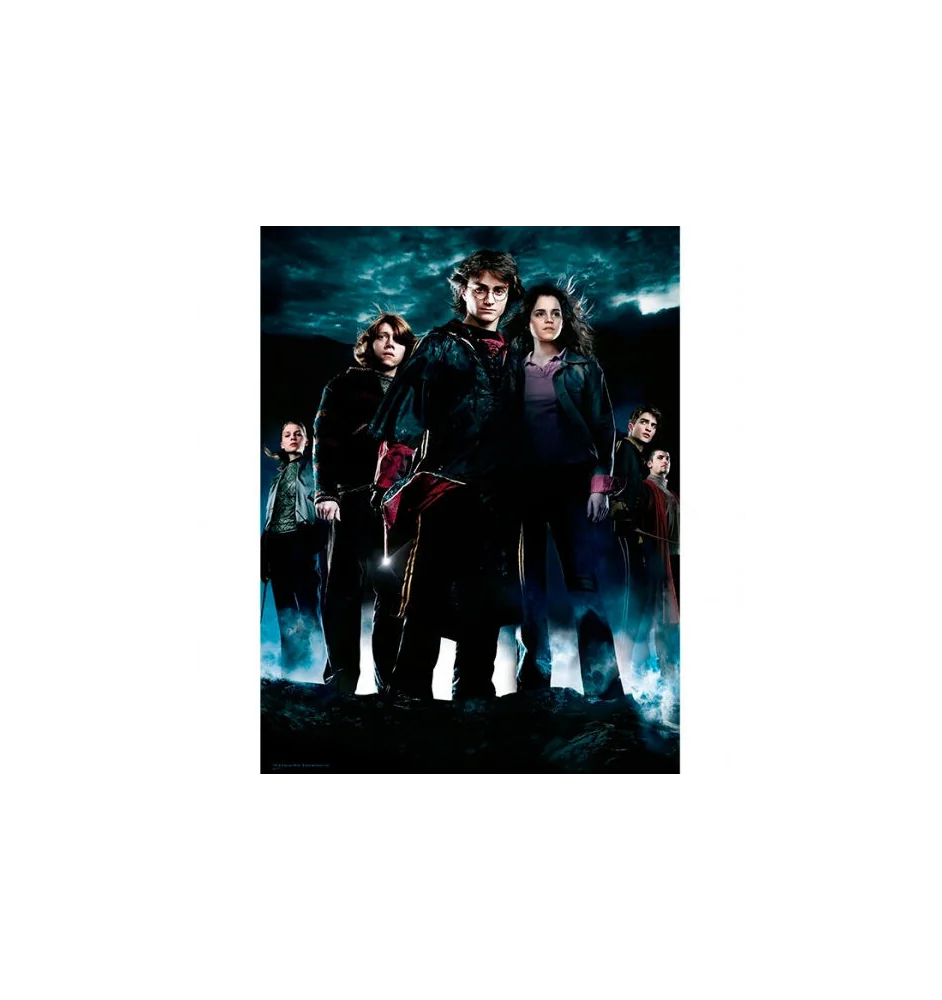 Impression Sur Verre Harry Potter Groupe HP4